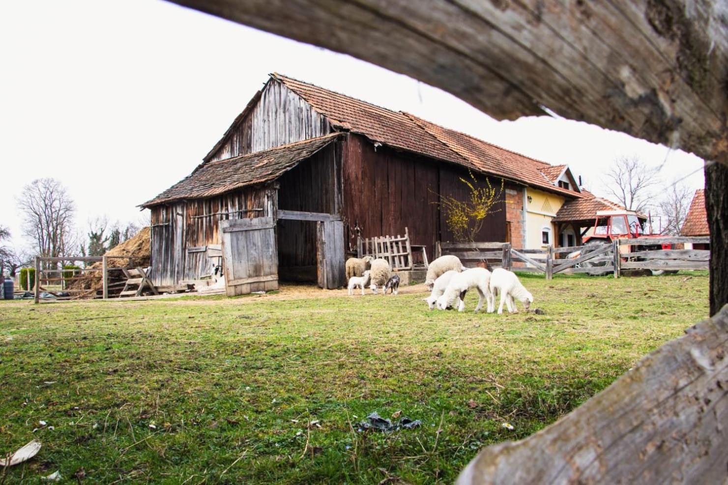 Country House Ivancan Molve Εξωτερικό φωτογραφία