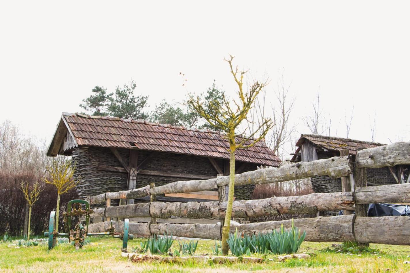 Country House Ivancan Molve Εξωτερικό φωτογραφία