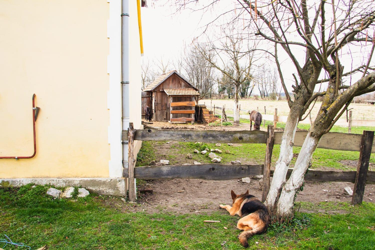 Country House Ivancan Molve Εξωτερικό φωτογραφία