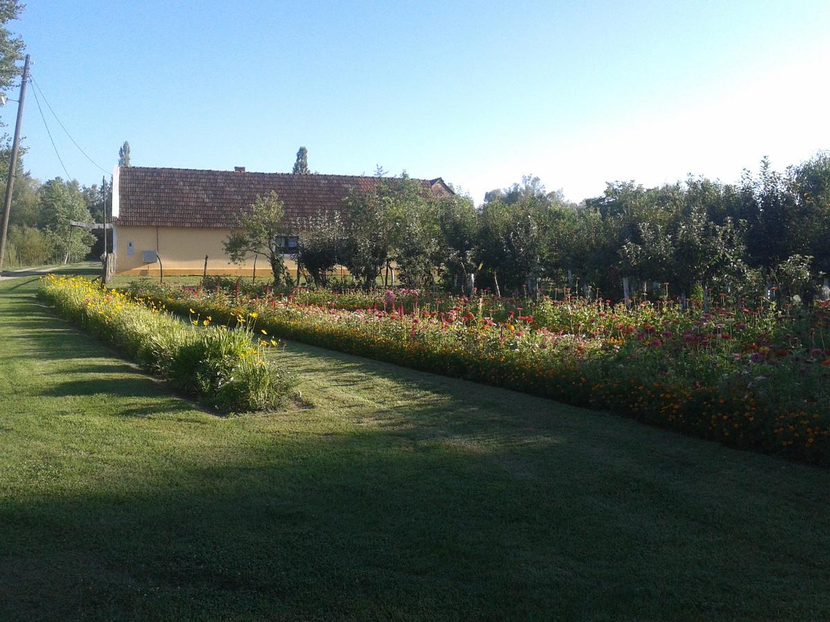 Country House Ivancan Molve Εξωτερικό φωτογραφία
