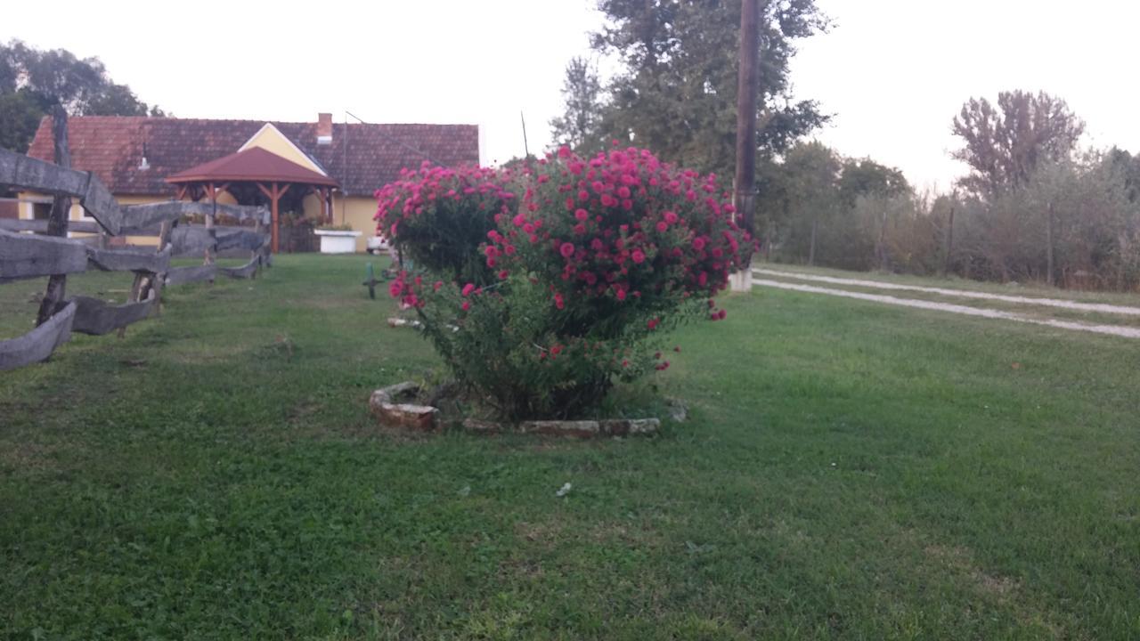 Country House Ivancan Molve Εξωτερικό φωτογραφία